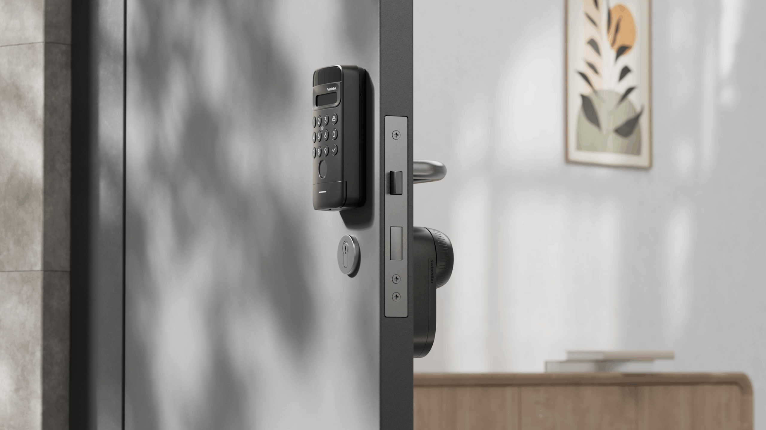 SwitchBot Keypad Vision
